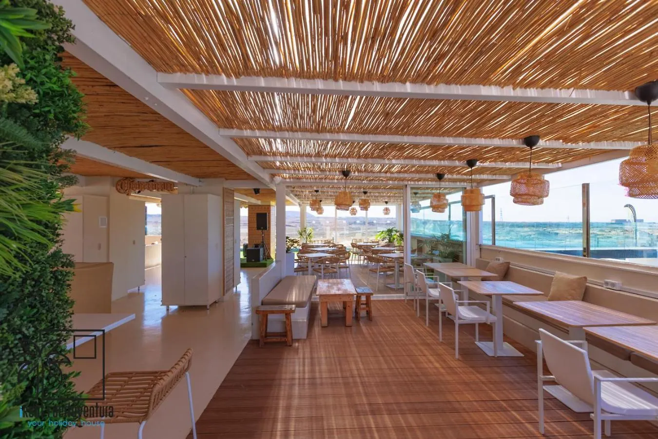 Hola Jag Corralejo Center Irent Fuerteventura Lejlighed Spanien